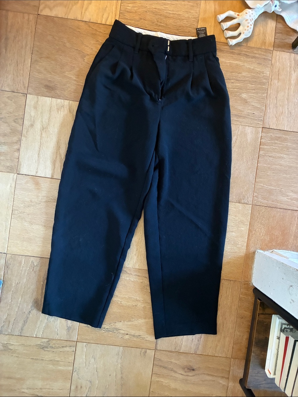 Aritzia Black High-Rise Pleated Tapered Pants